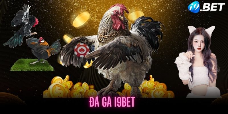 Cách tham gia chơi đá gà tại i9BET