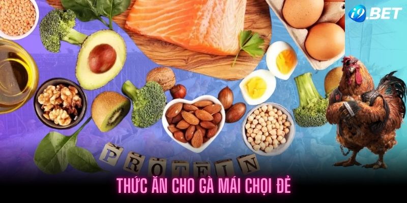 Cung cấp đầy đủ dưỡng chất giúp cơ thể gà phát triển toàn diện