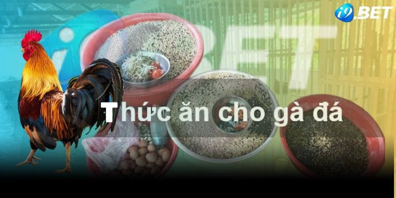 Đảm bảo chế độ dinh dưỡng để tập lực cho gà đủ sức khoẻ