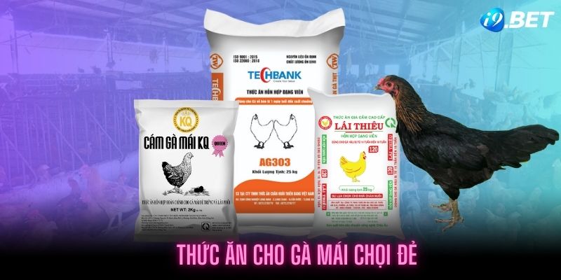 Sản phẩm pha sẵn chất lượng