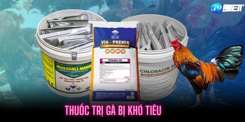 Thuốc đặc trị cho gà bị khó tiêu