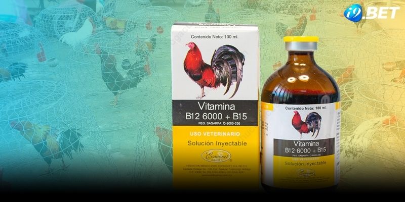 Thuốc bổ B12 - 6000 rất tốt cho việc kích thích ăn uống của gà